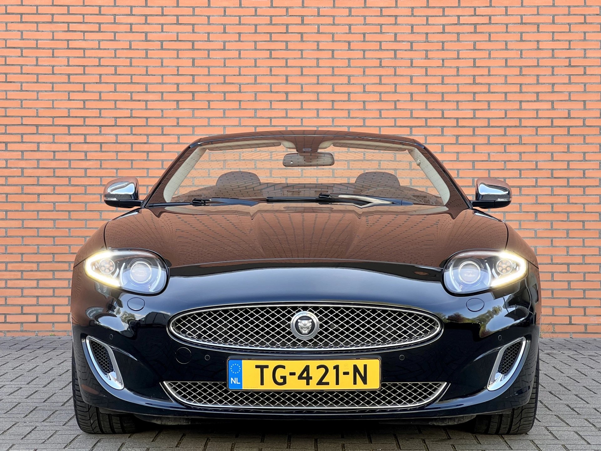 Hoofdafbeelding Jaguar XK