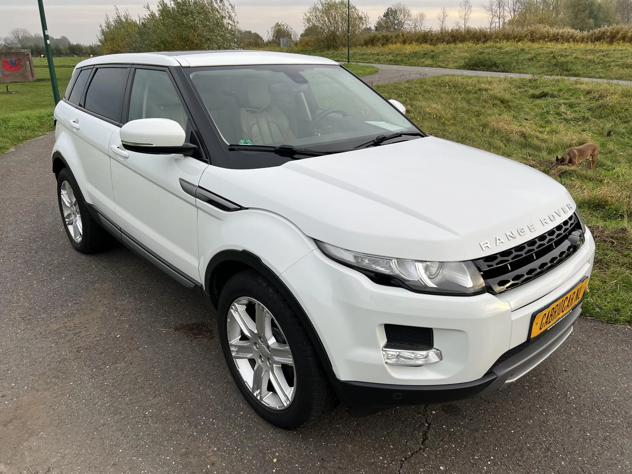 Hoofdafbeelding Land Rover Range Rover Evoque