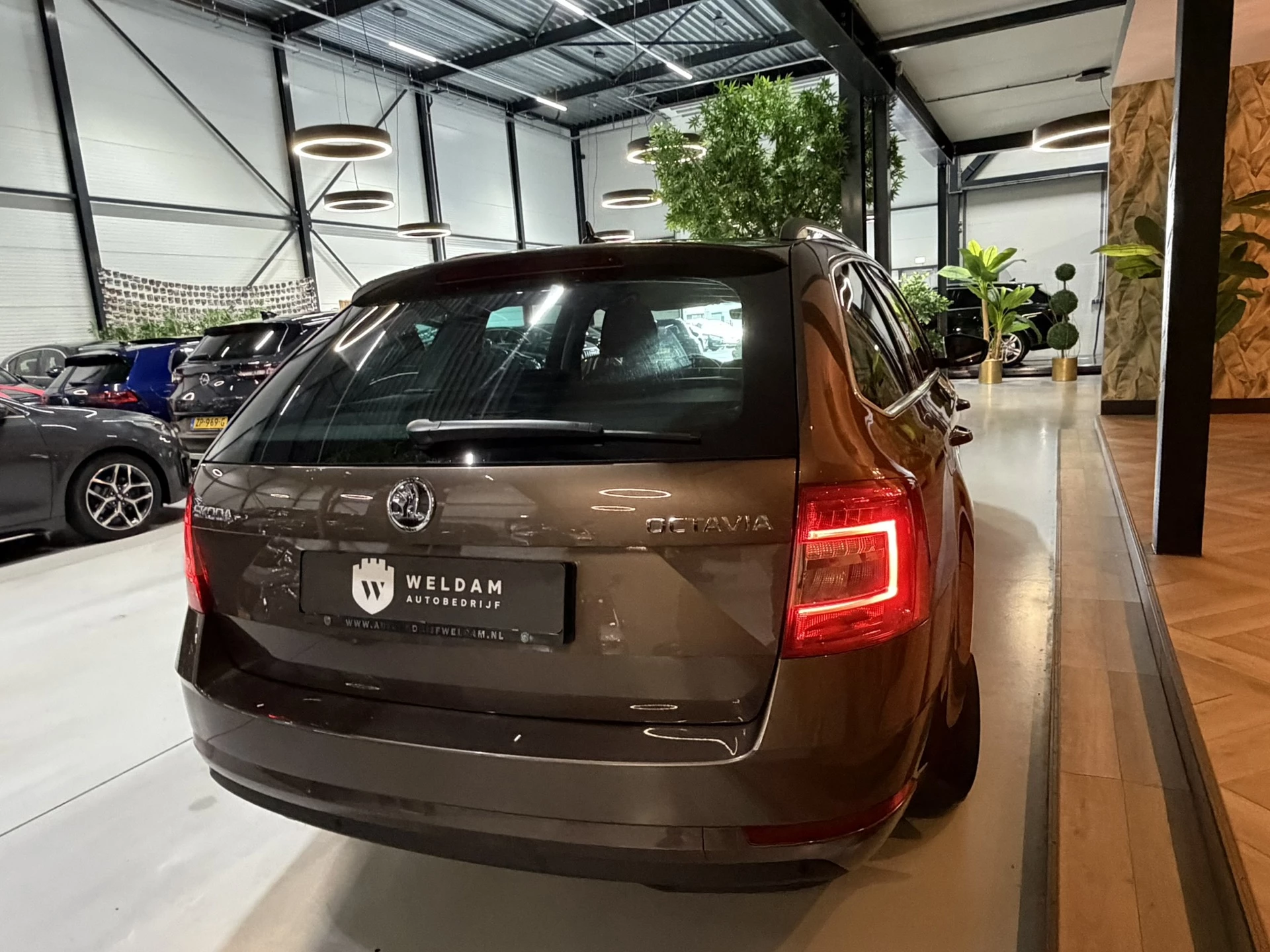 Hoofdafbeelding Škoda Octavia