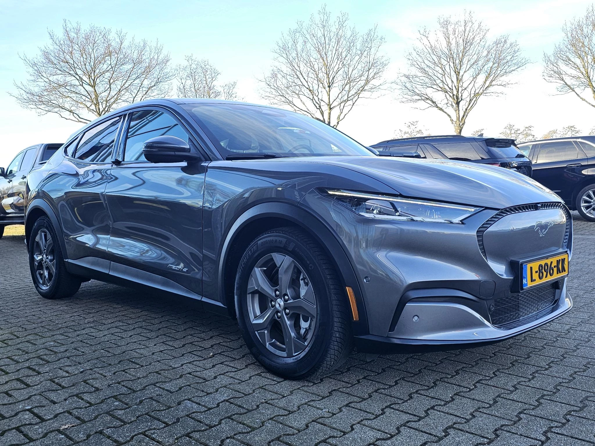 Hoofdafbeelding Ford Mustang Mach-E