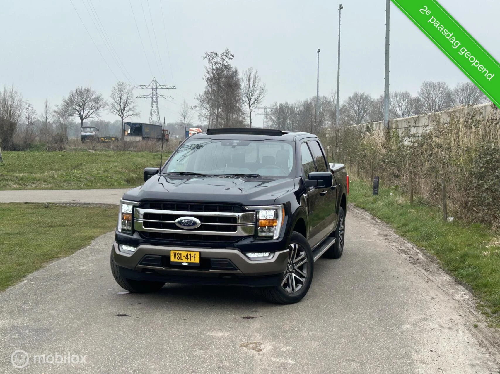 Hoofdafbeelding Ford F-150