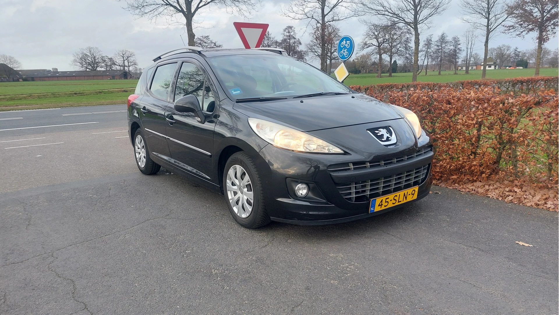 Hoofdafbeelding Peugeot 207