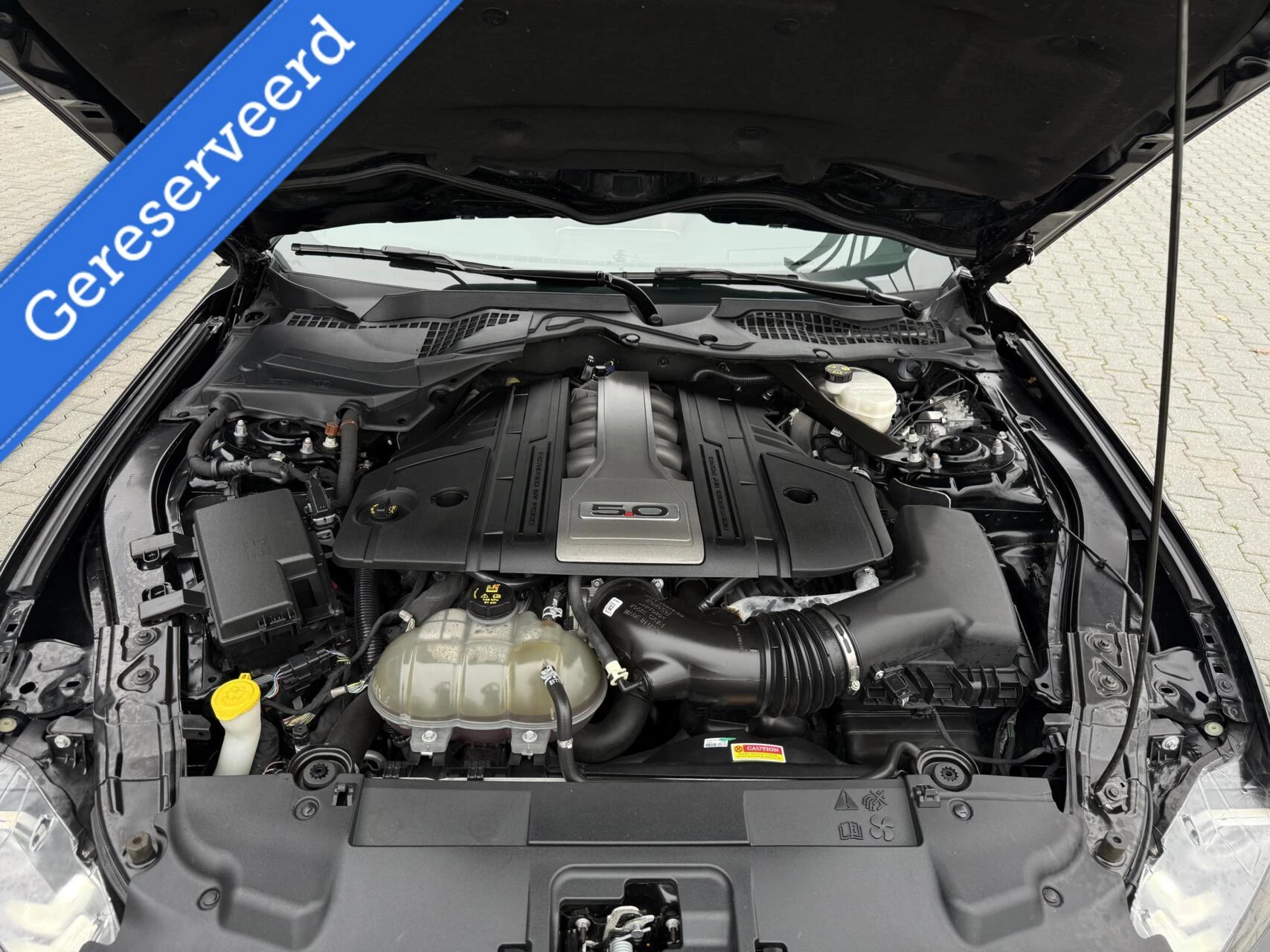 Hoofdafbeelding Ford Mustang