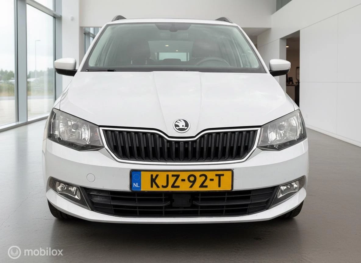 Hoofdafbeelding Škoda Fabia