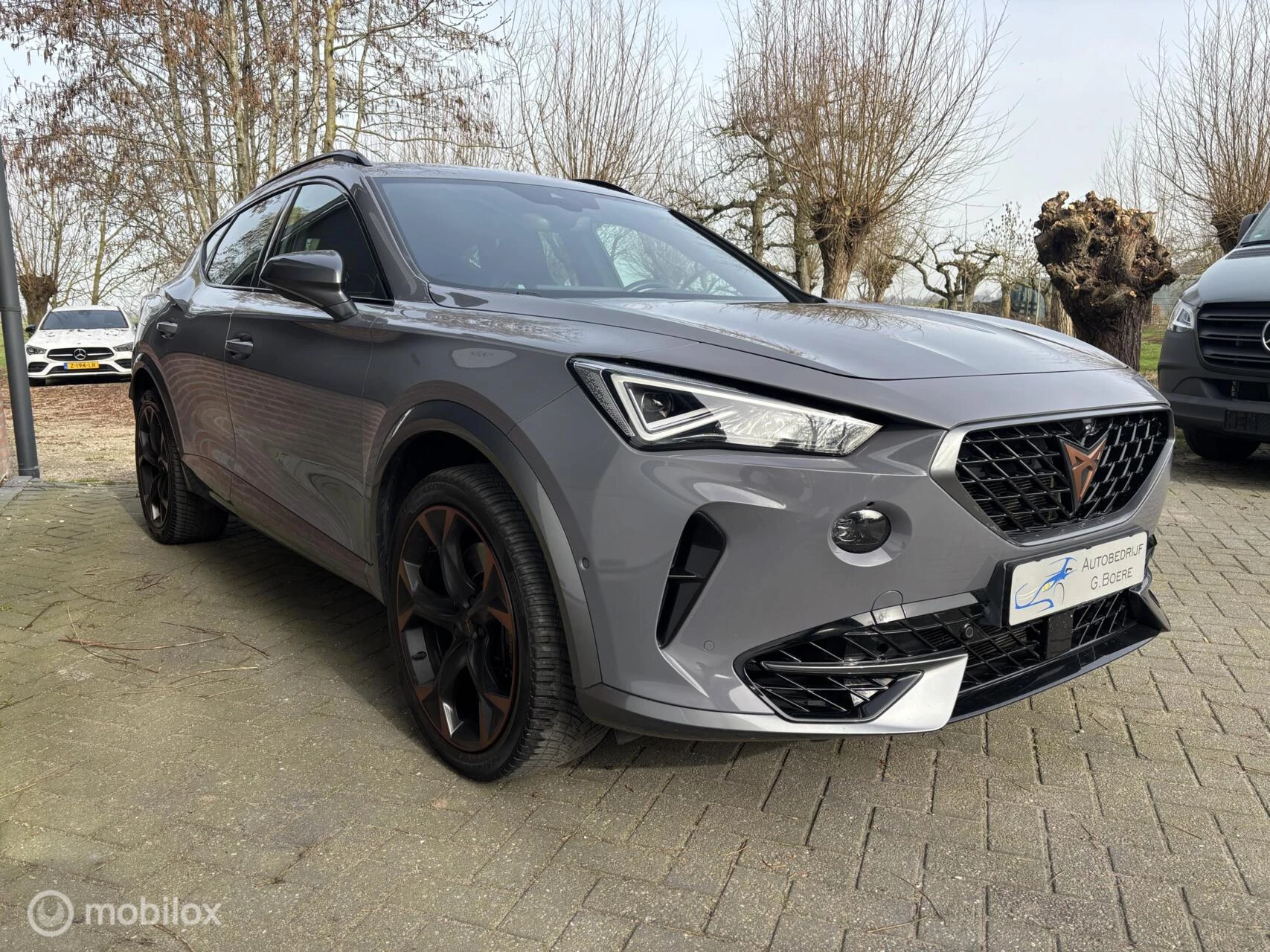 Hoofdafbeelding CUPRA Formentor