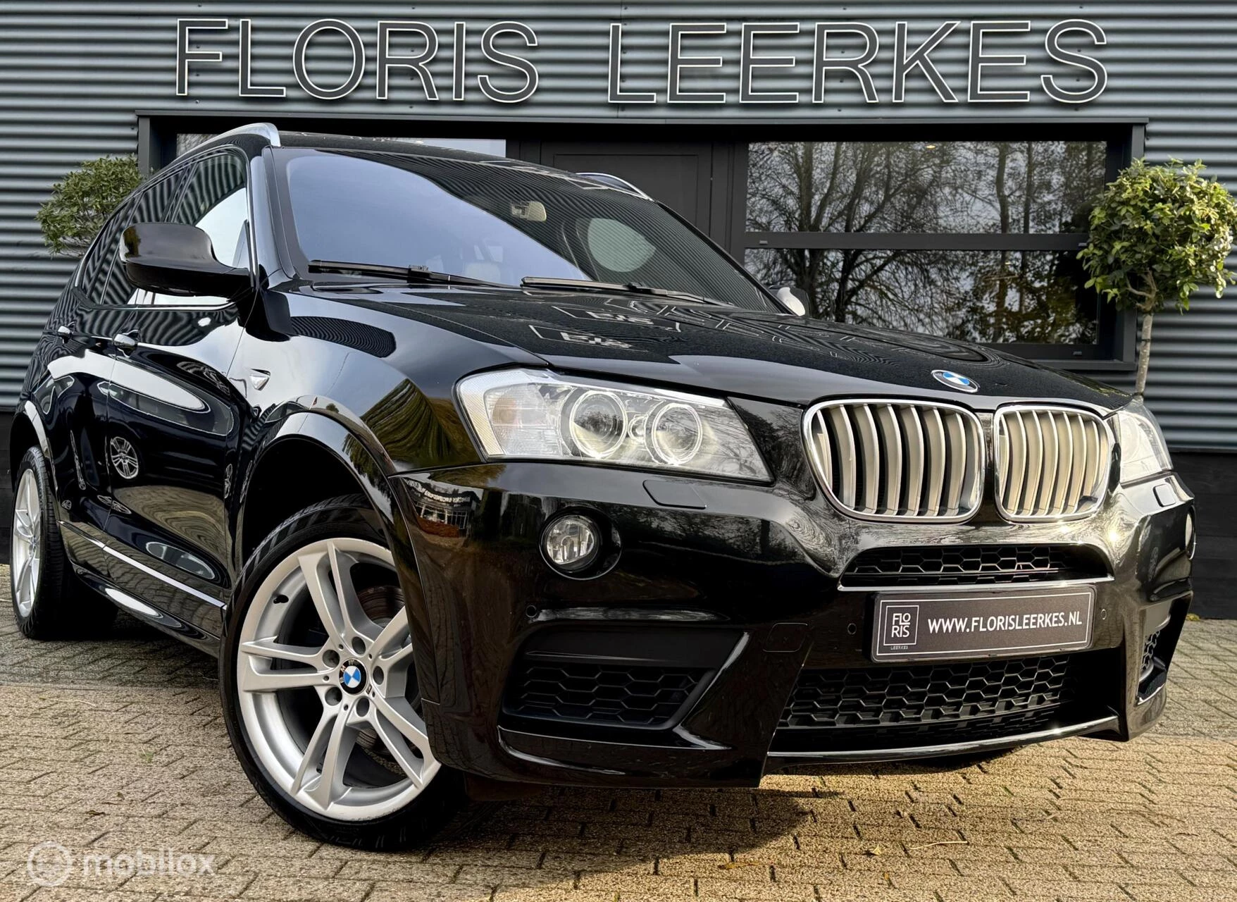 Hoofdafbeelding BMW X3