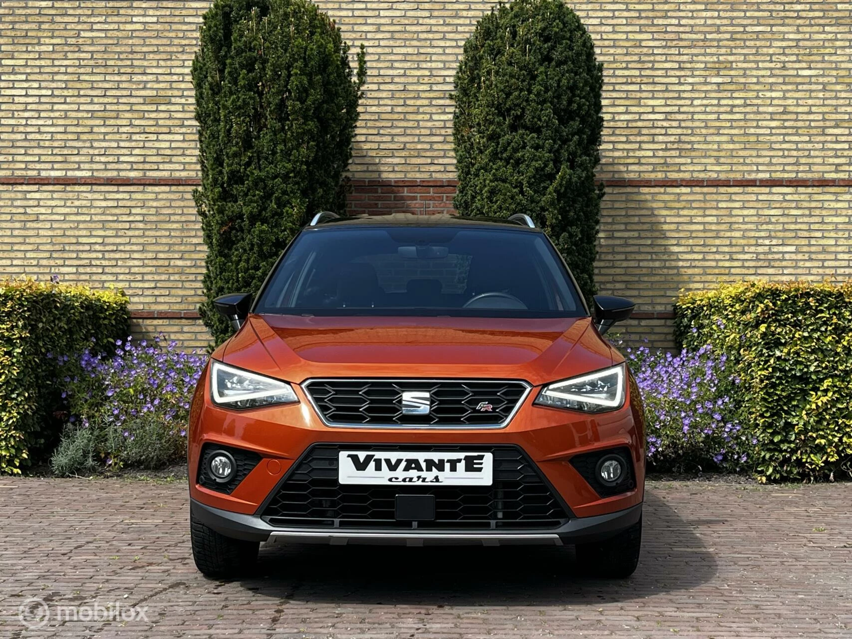 Hoofdafbeelding SEAT Arona