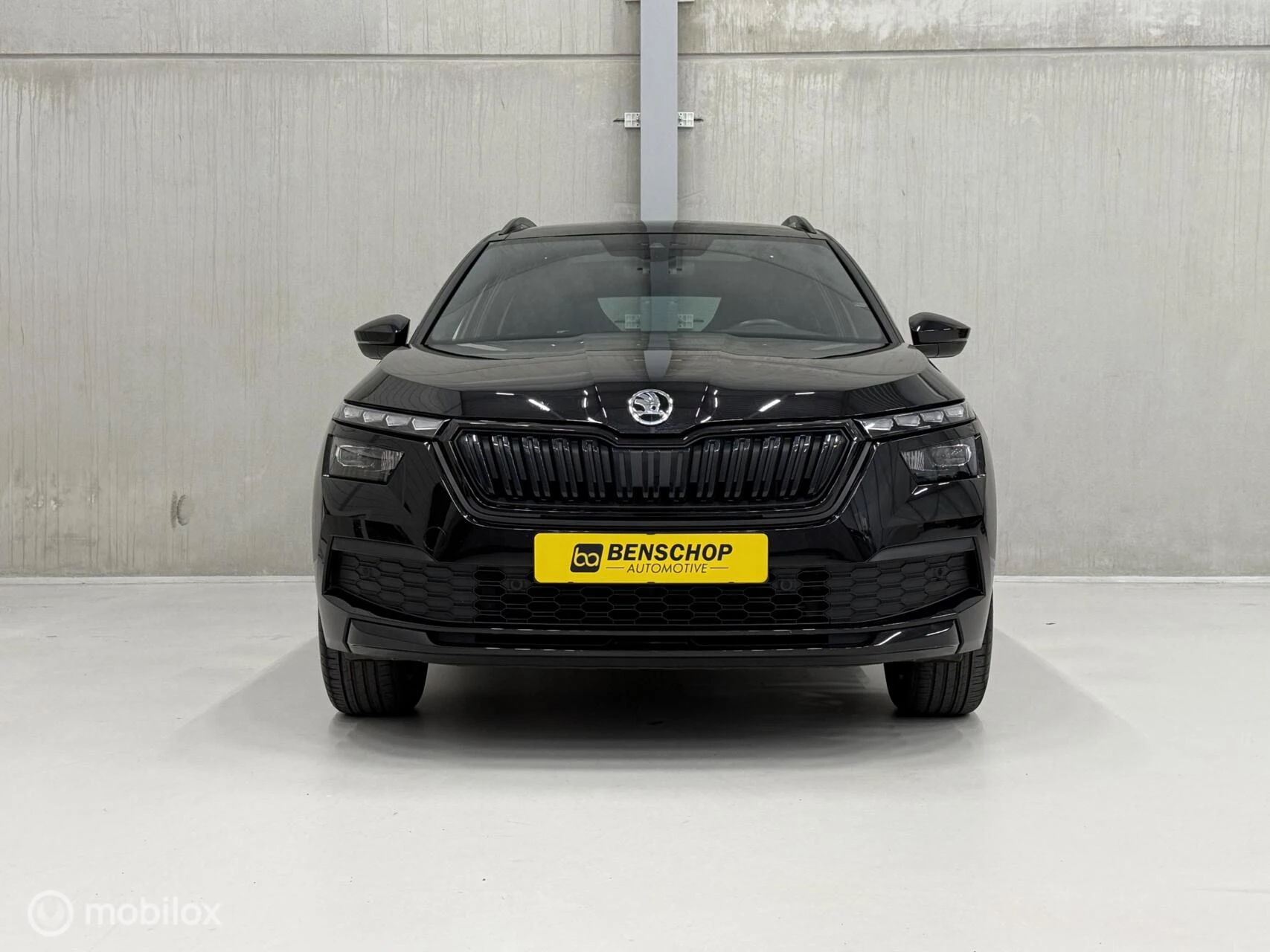 Hoofdafbeelding Škoda Kamiq