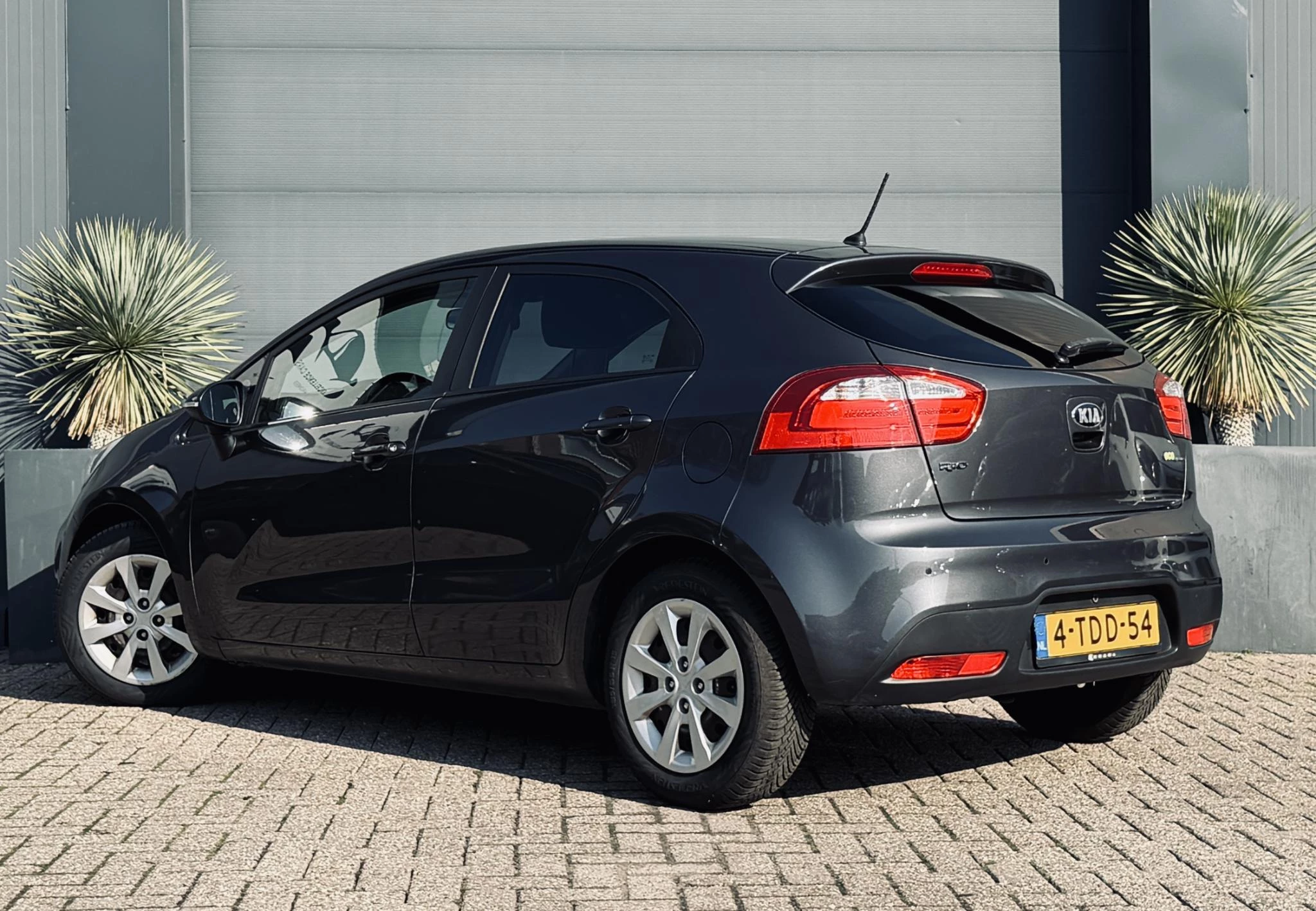 Hoofdafbeelding Kia Rio