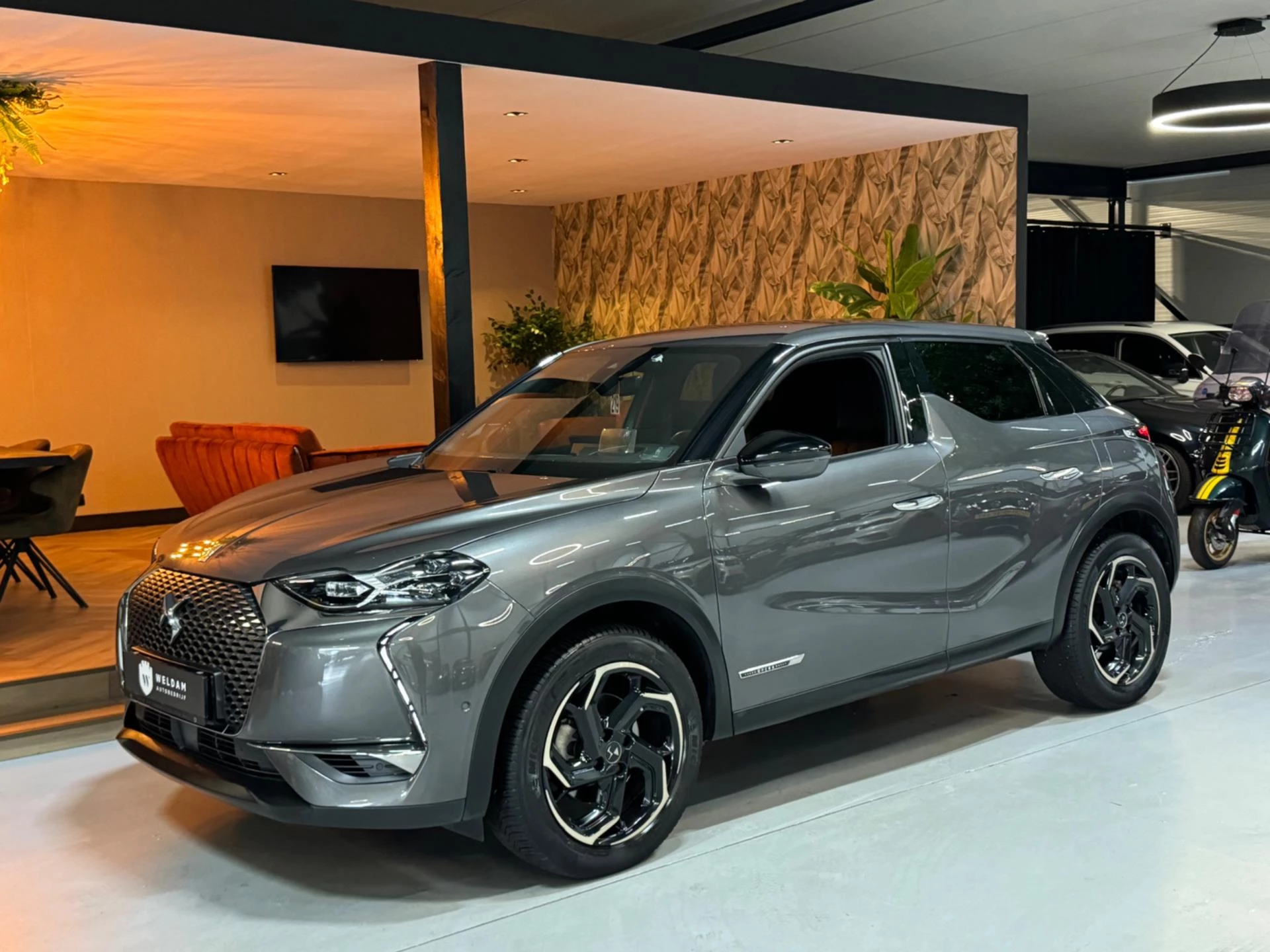 Hoofdafbeelding DS DS 3