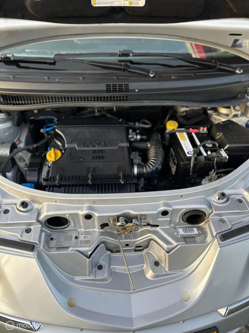 Hoofdafbeelding Lancia Musa