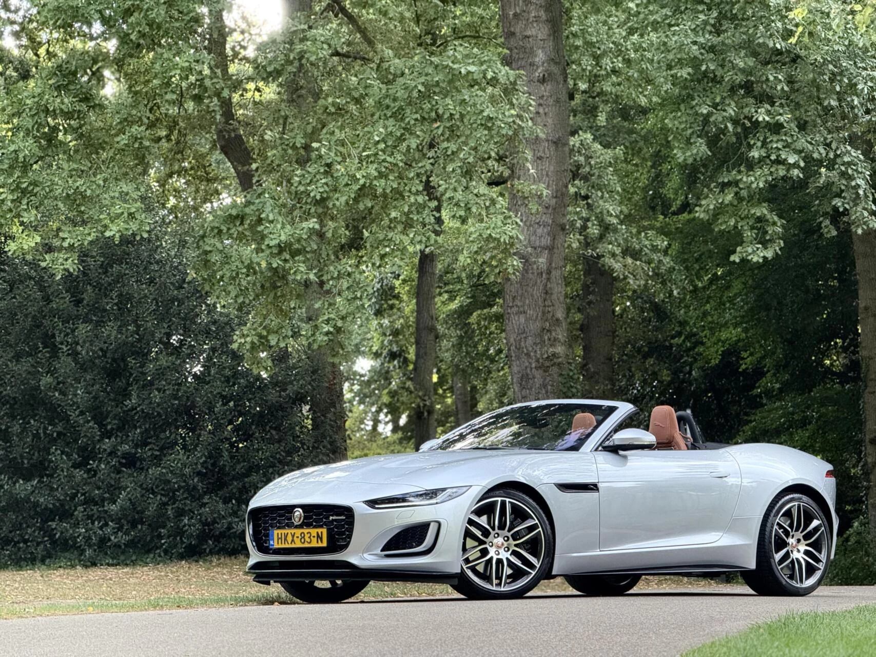 Hoofdafbeelding Jaguar F-Type