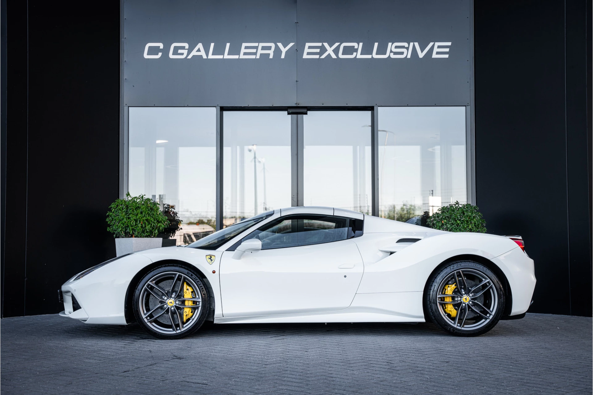 Hoofdafbeelding Ferrari 488