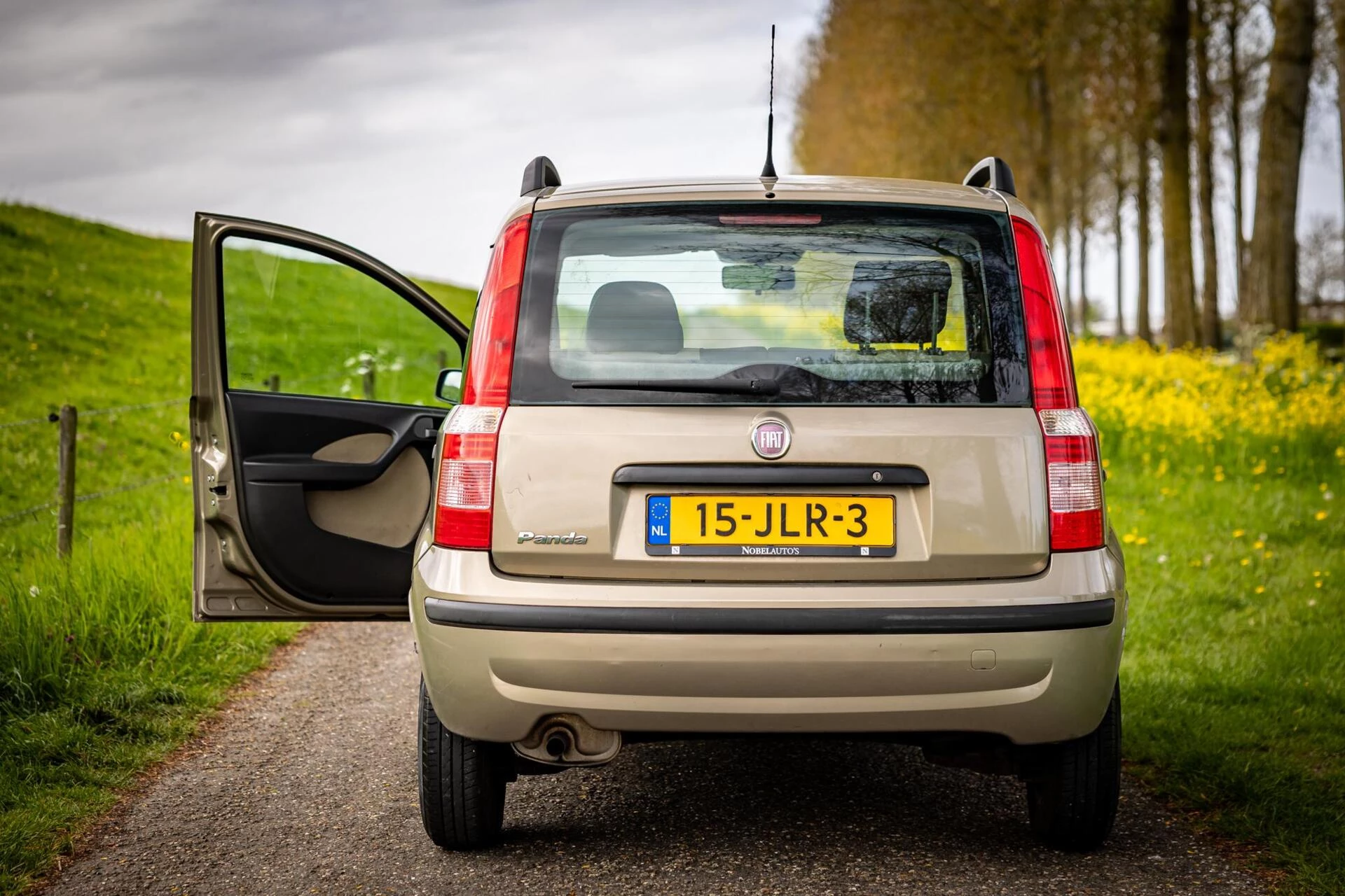Hoofdafbeelding Fiat Panda