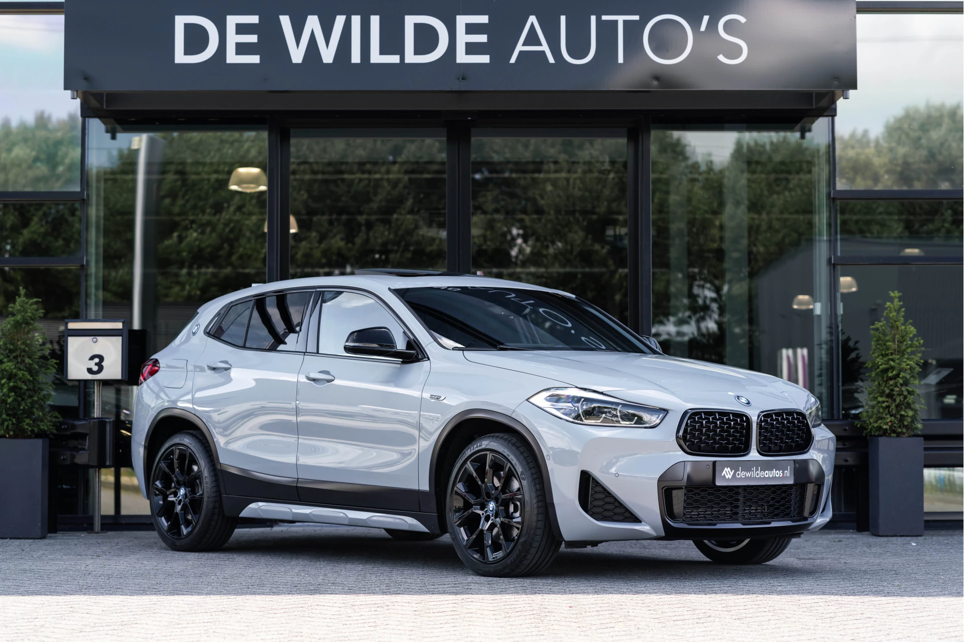 Hoofdafbeelding BMW X2