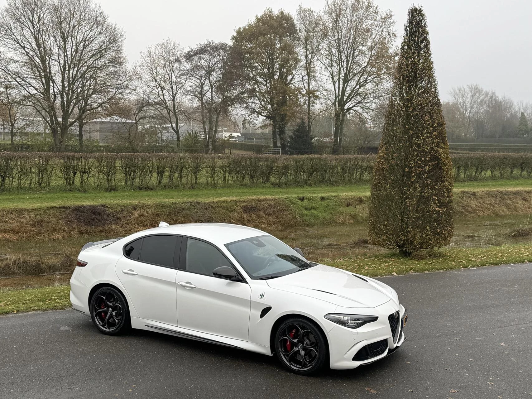 Hoofdafbeelding Alfa Romeo Giulia