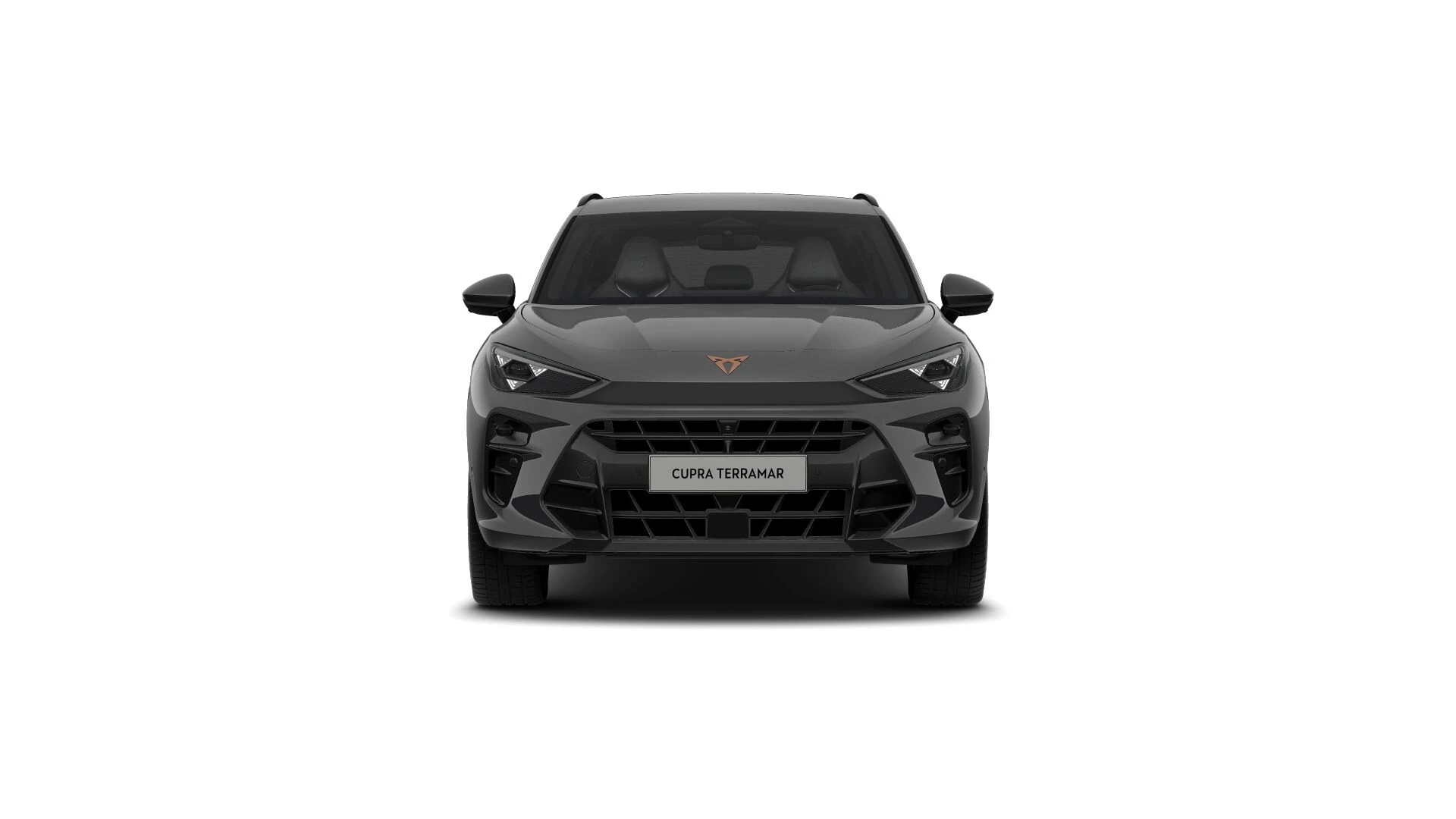 Hoofdafbeelding CUPRA Terramar