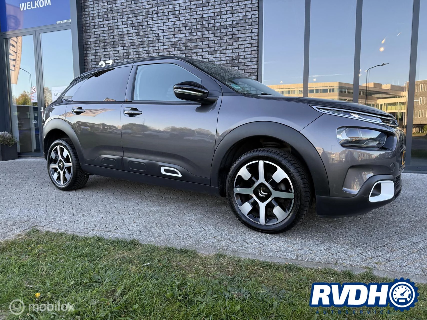 Hoofdafbeelding Citroën C4 Cactus