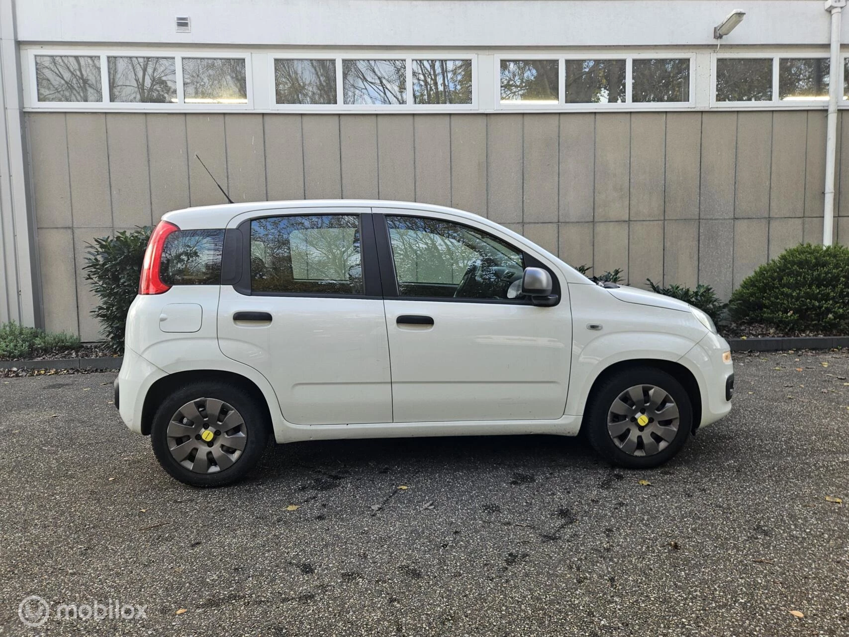 Hoofdafbeelding Fiat Panda
