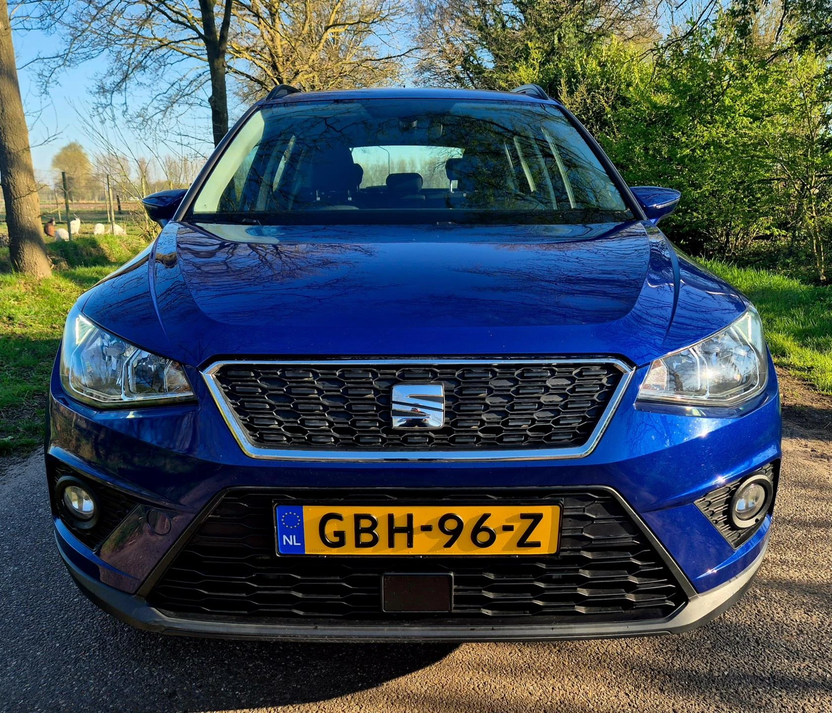 Hoofdafbeelding SEAT Arona