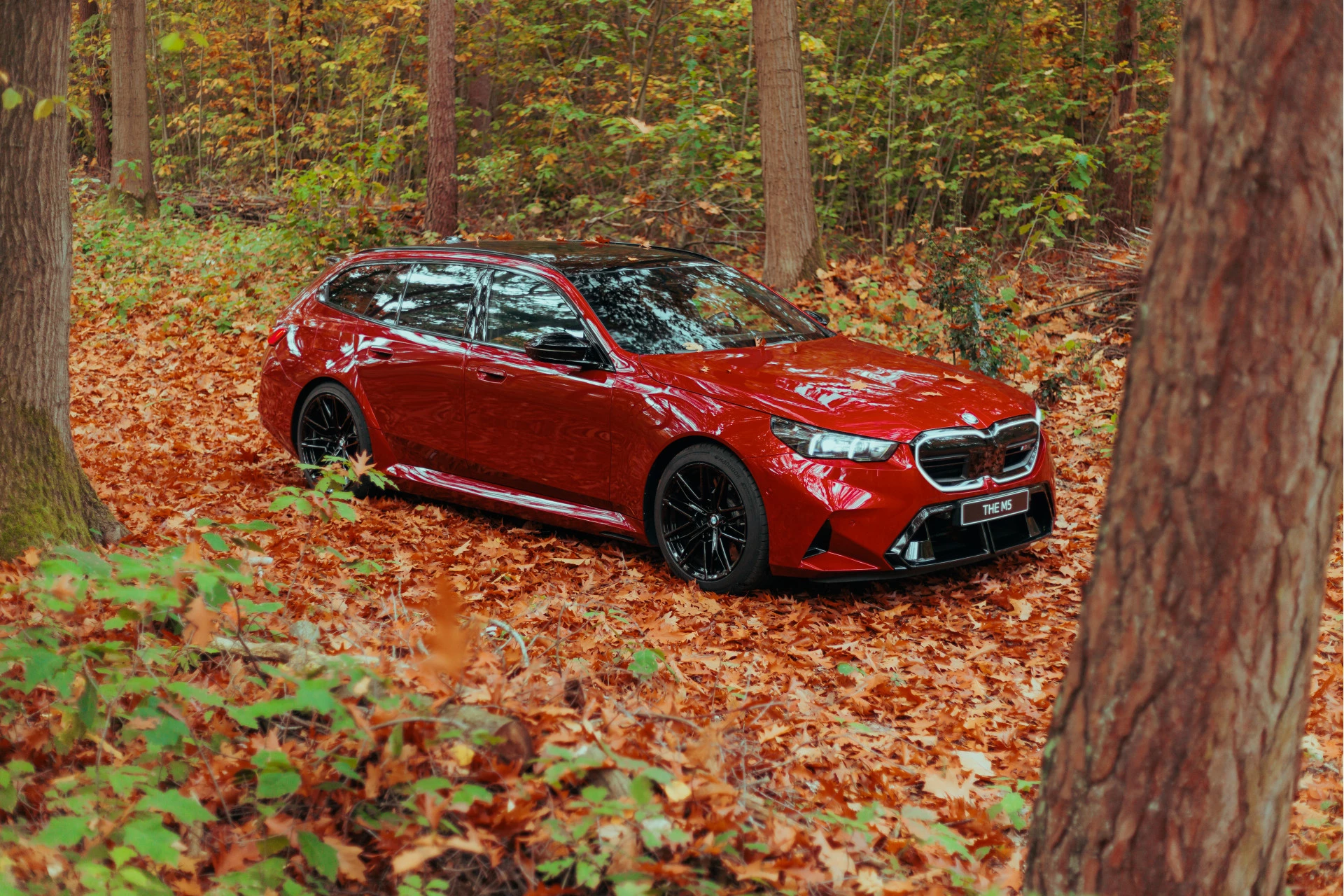 Hoofdafbeelding BMW 5 Serie