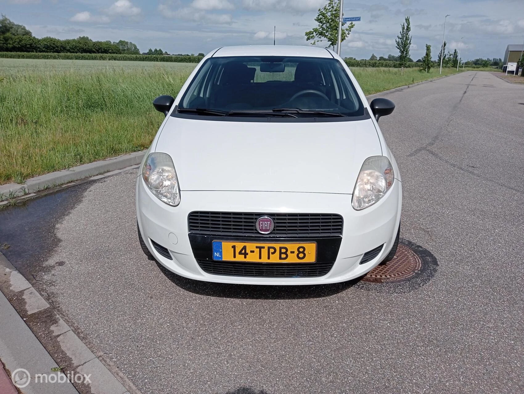 Hoofdafbeelding Fiat Punto