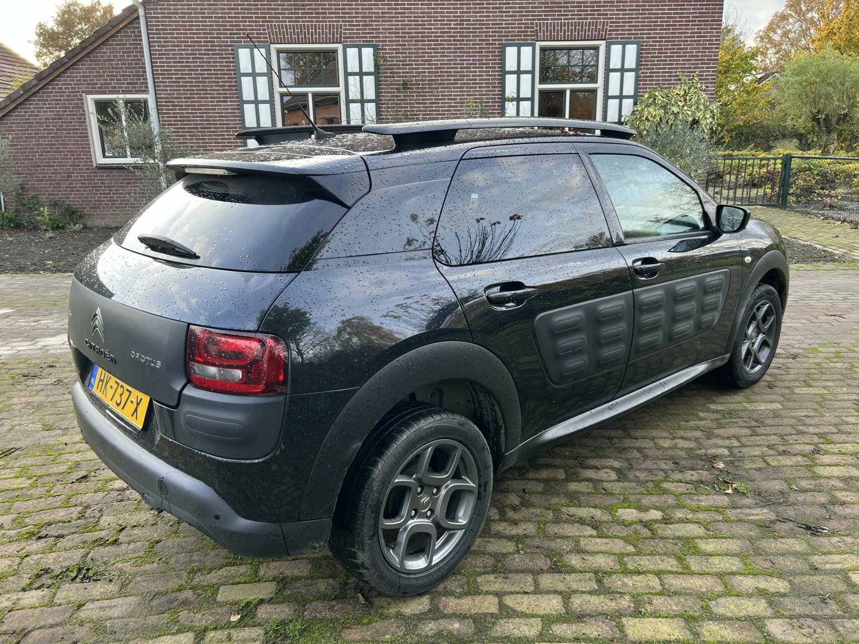 Hoofdafbeelding Citroën C4 Cactus