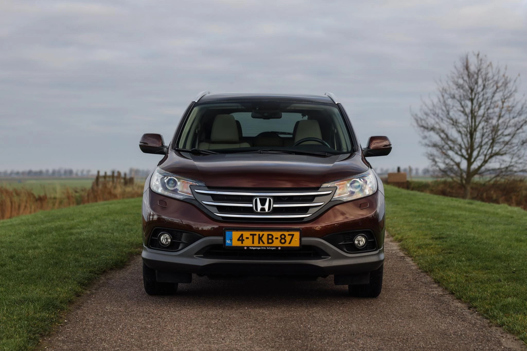 Hoofdafbeelding Honda CR-V