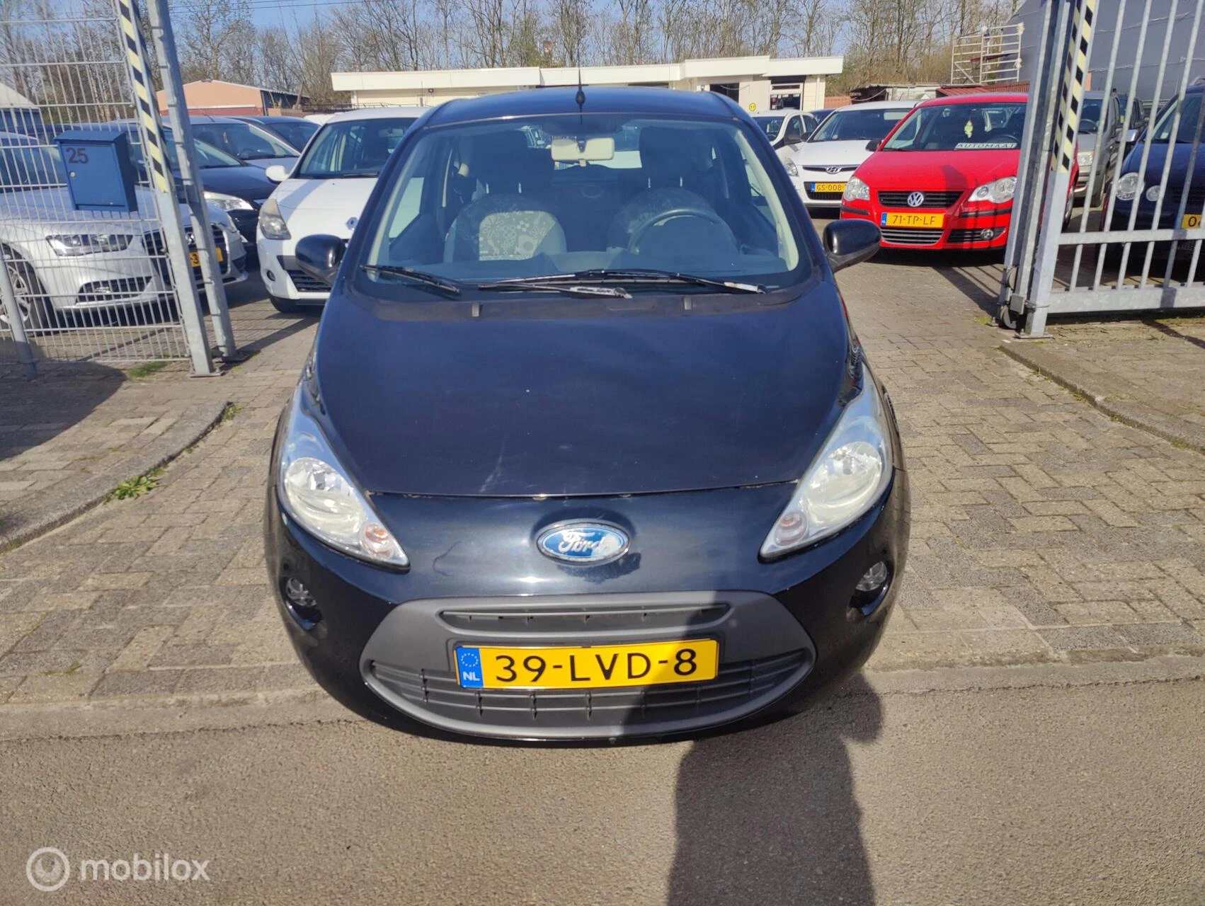 Hoofdafbeelding Ford Ka