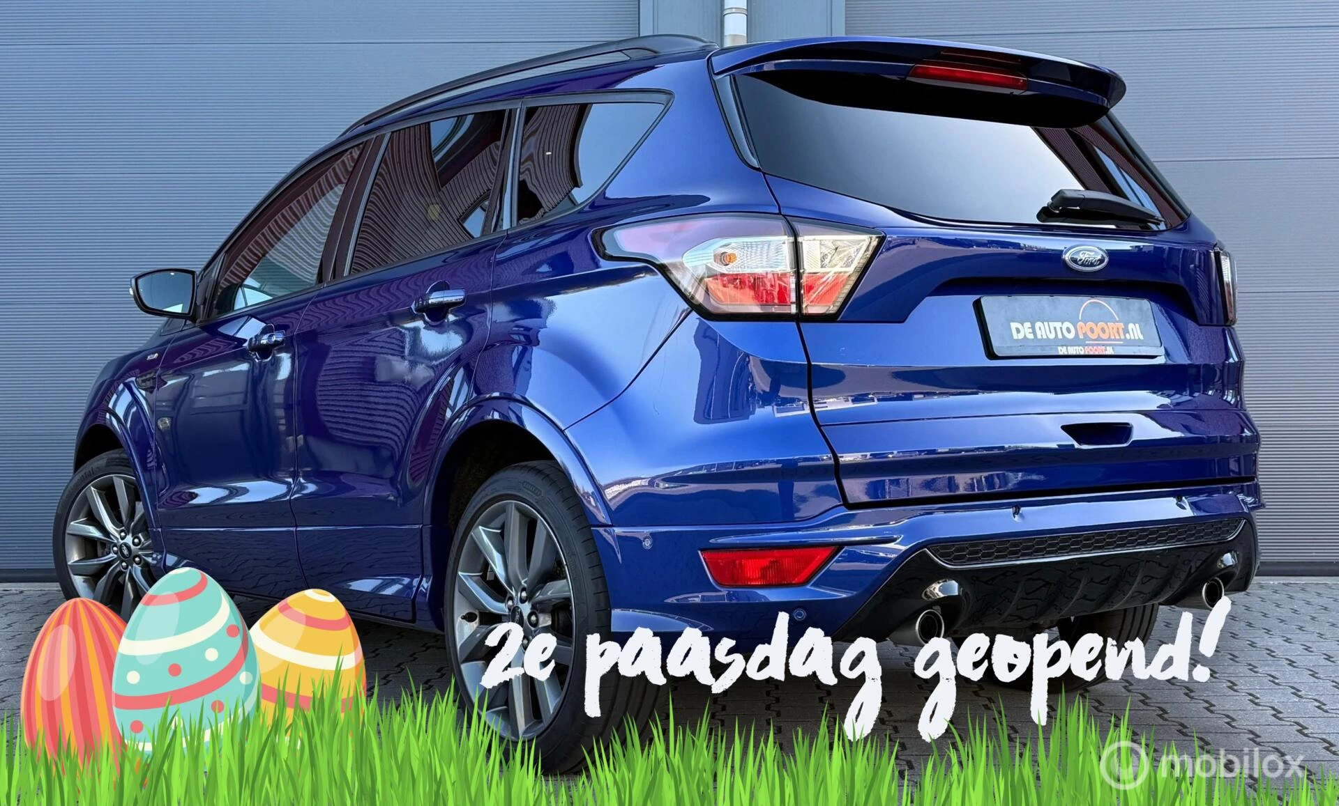 Hoofdafbeelding Ford Kuga