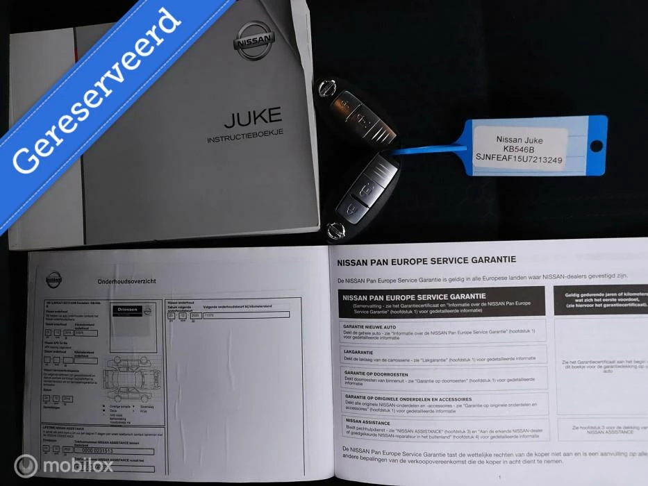 Hoofdafbeelding Nissan Juke