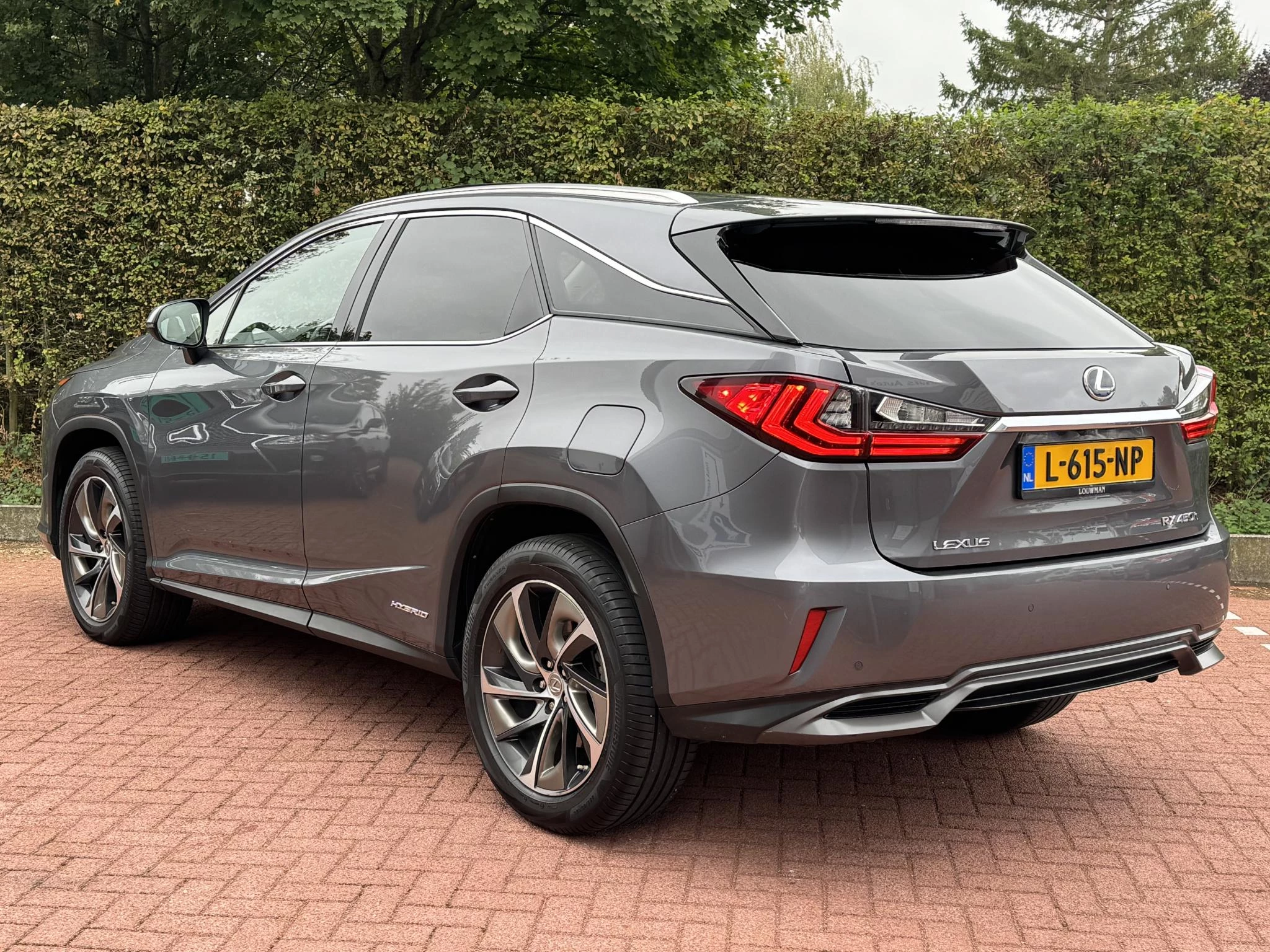 Hoofdafbeelding Lexus RX