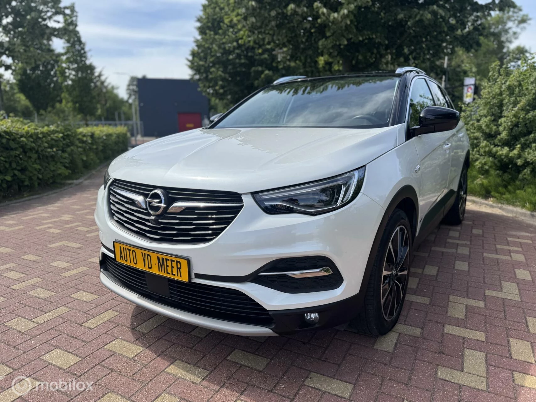 Hoofdafbeelding Opel Grandland X