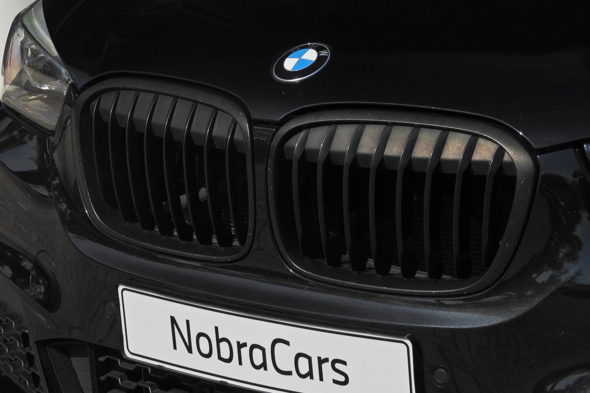 Hoofdafbeelding BMW X1
