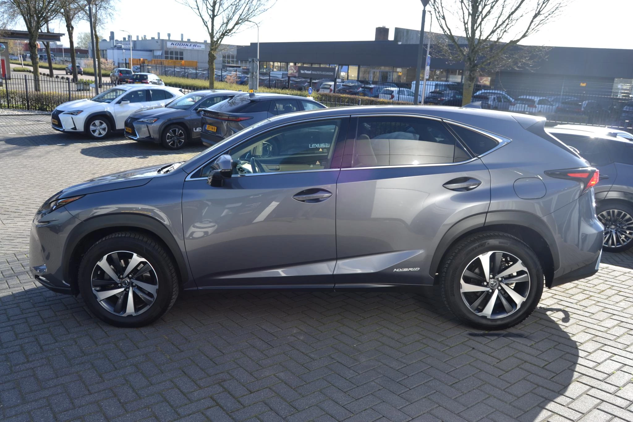 Hoofdafbeelding Lexus NX