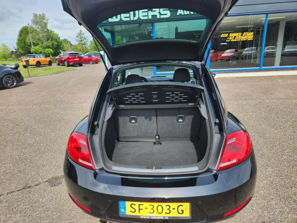 Hoofdafbeelding Volkswagen Beetle