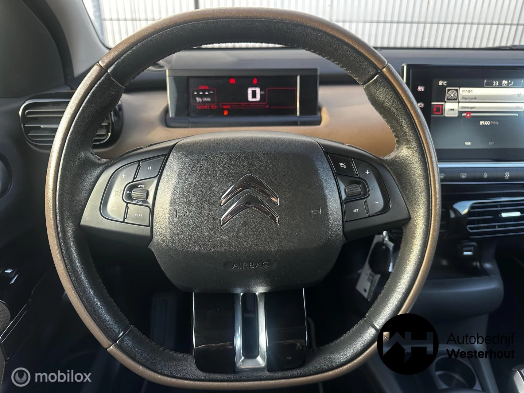 Hoofdafbeelding Citroën C4 Cactus