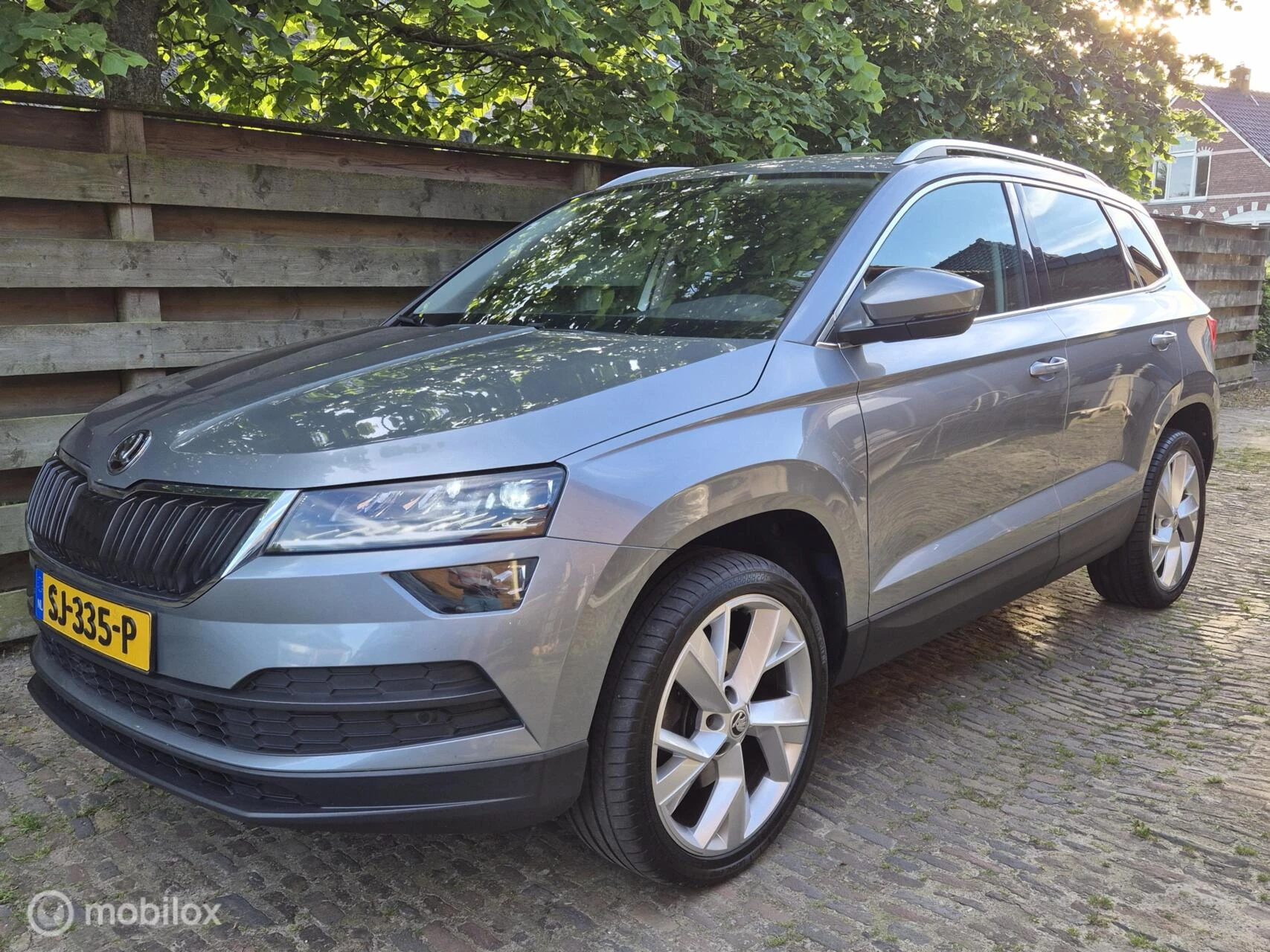 Hoofdafbeelding Škoda Karoq