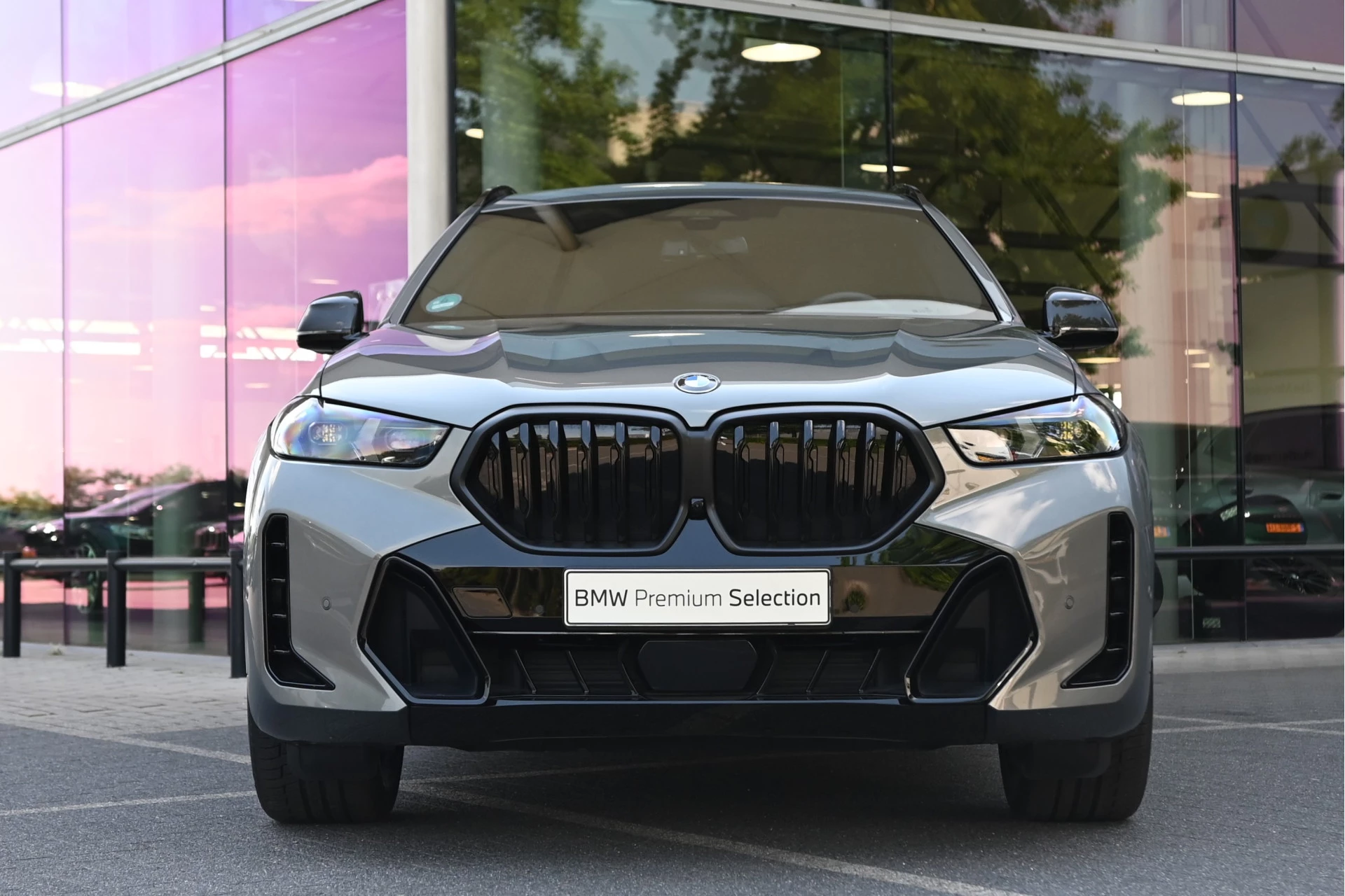 Hoofdafbeelding BMW X6