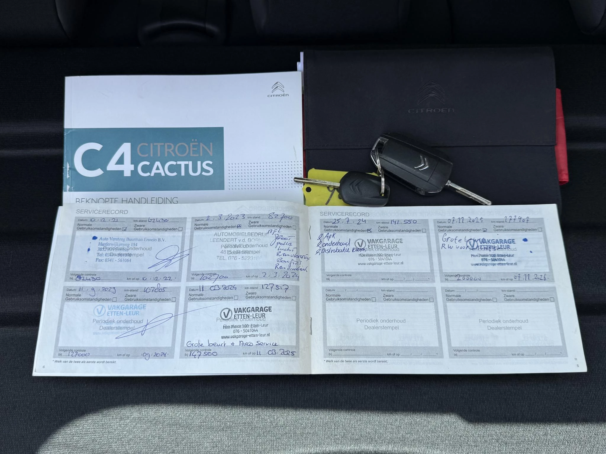 Hoofdafbeelding Citroën C4 Cactus