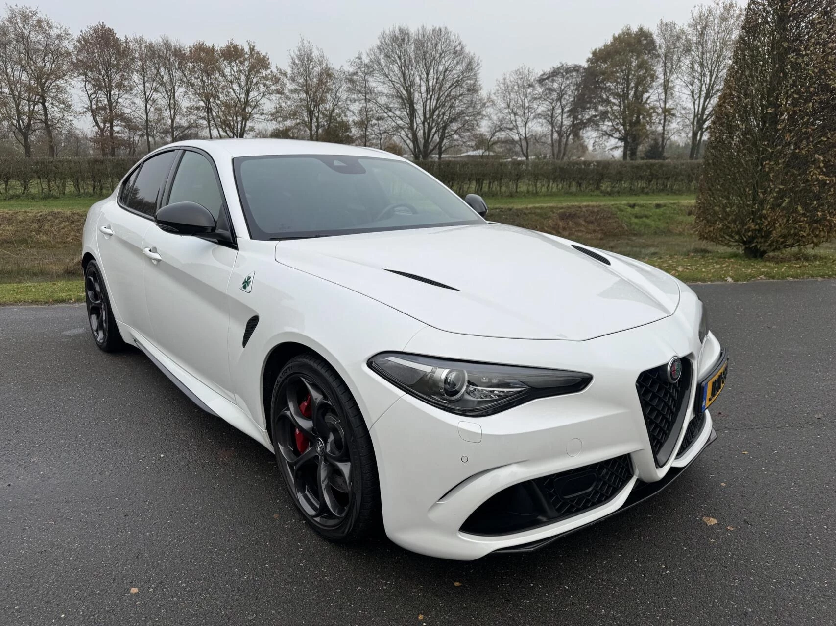 Hoofdafbeelding Alfa Romeo Giulia