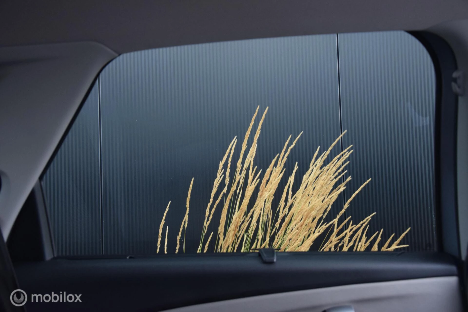 Hoofdafbeelding Citroën C4 Spacetourer