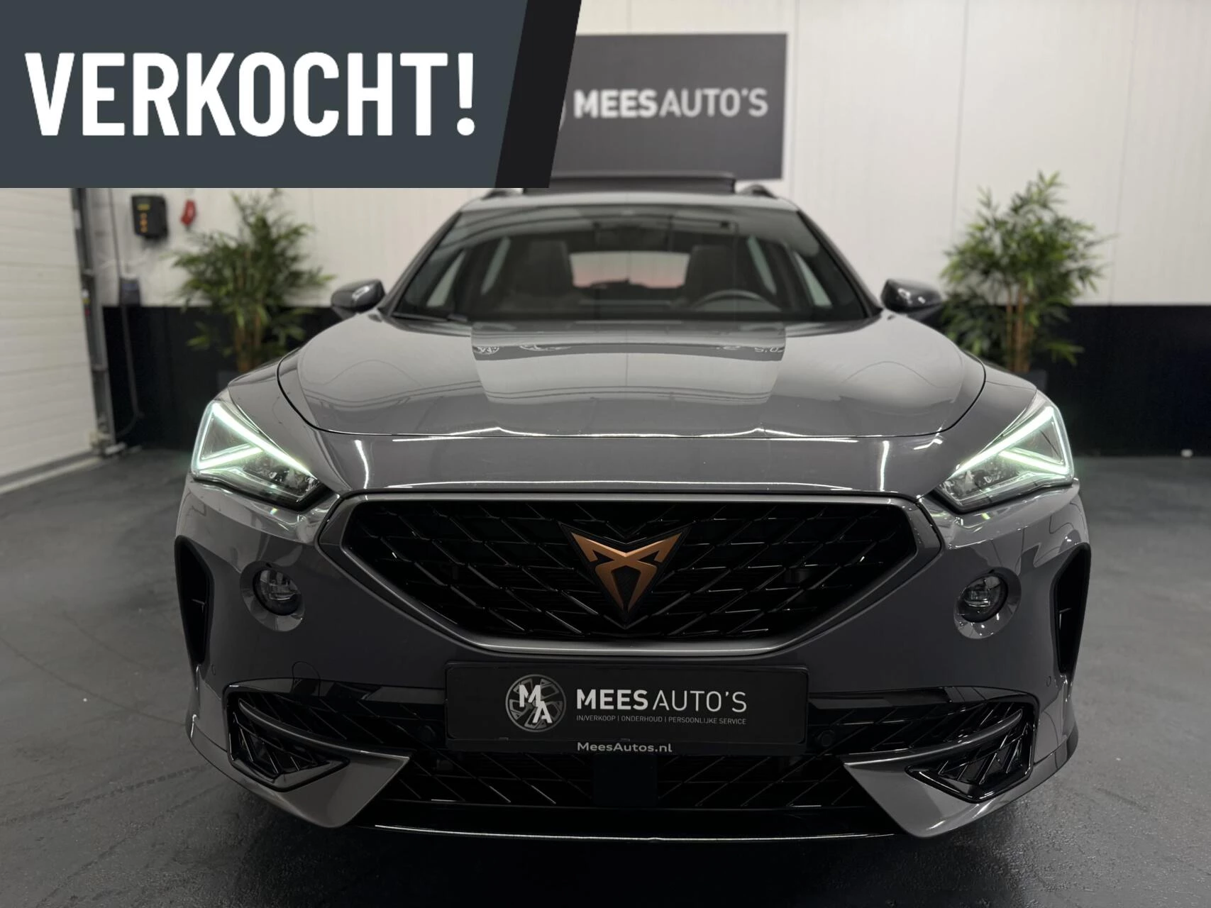 Hoofdafbeelding CUPRA Formentor