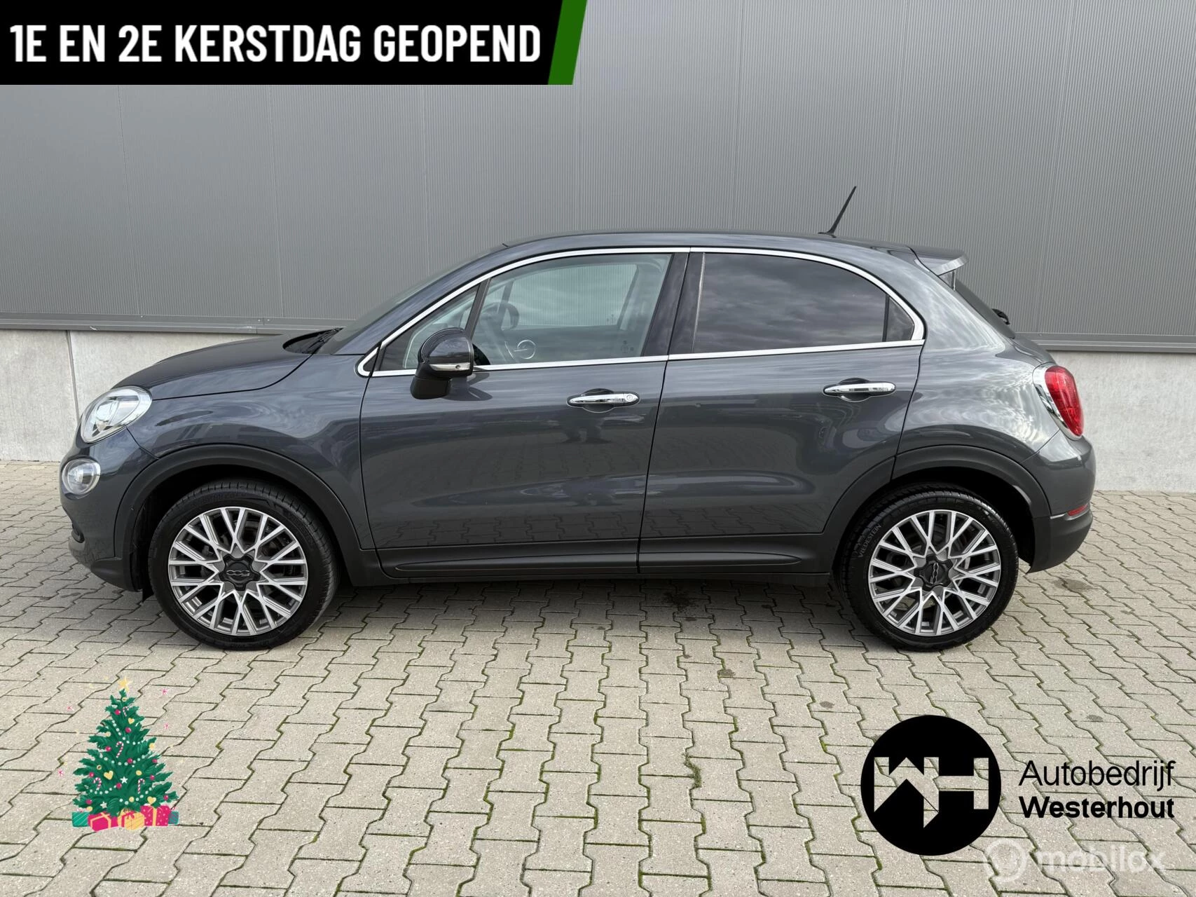 Hoofdafbeelding Fiat 500X
