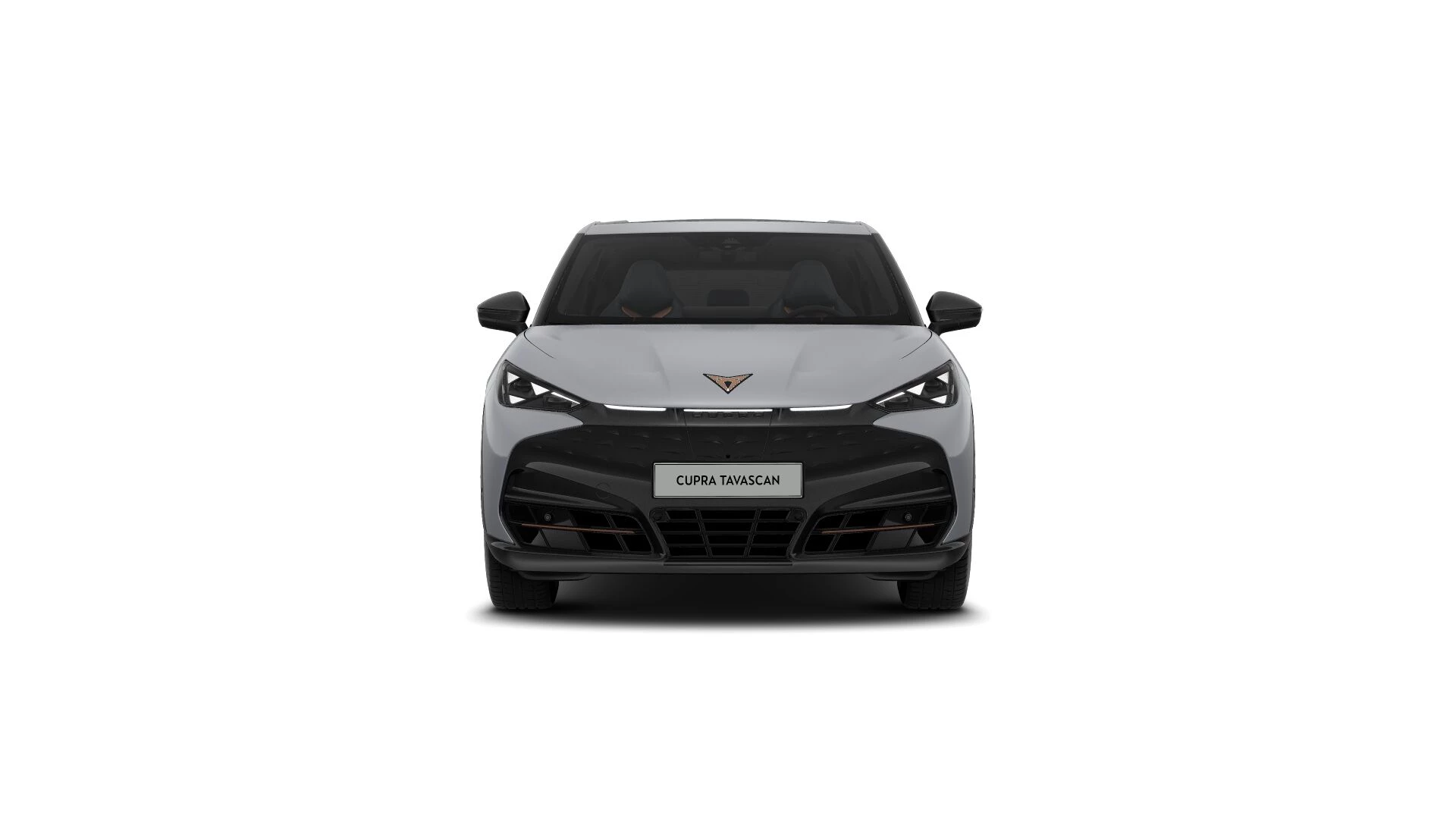 Hoofdafbeelding CUPRA Tavascan