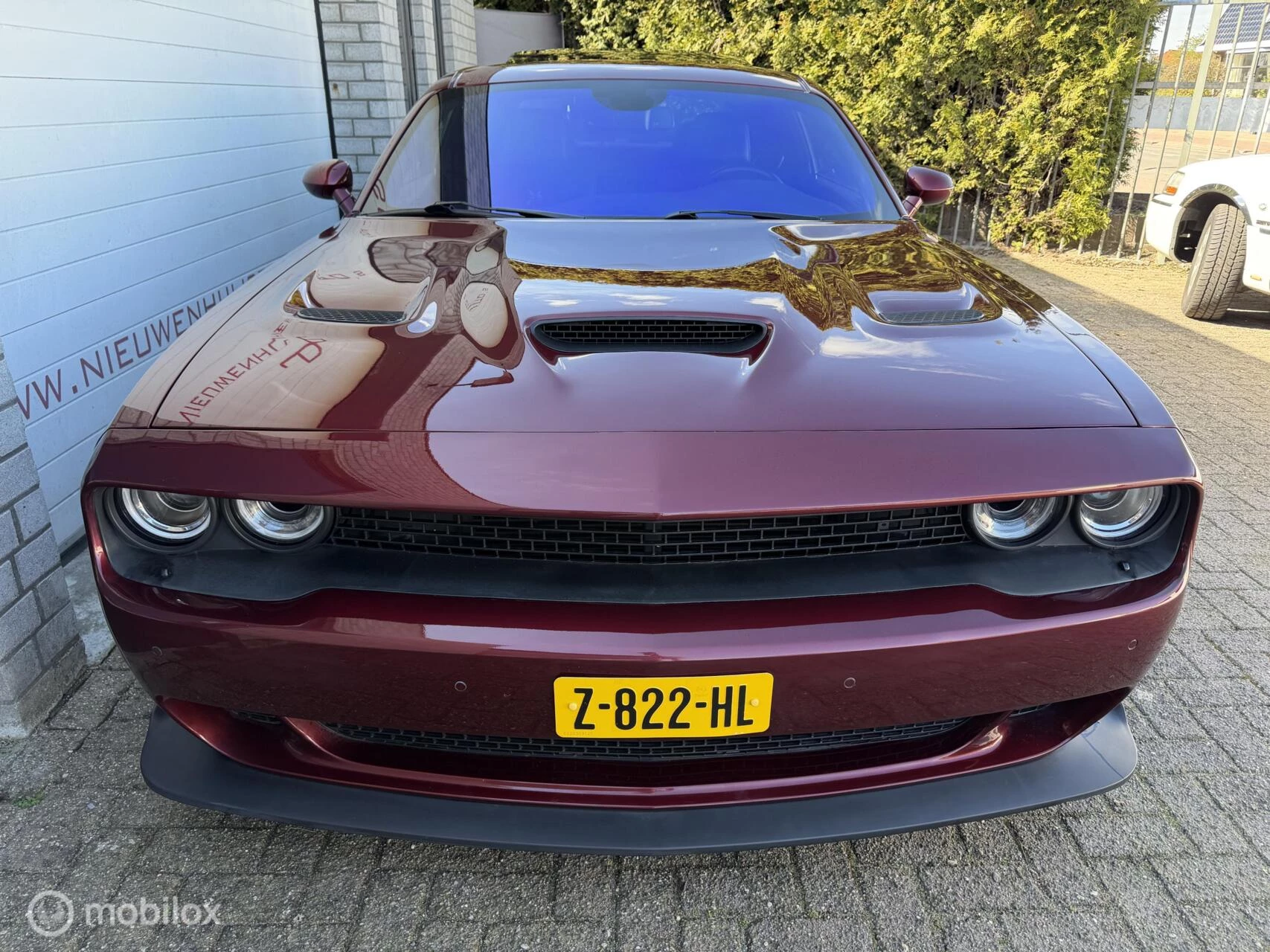 Hoofdafbeelding Dodge Challenger