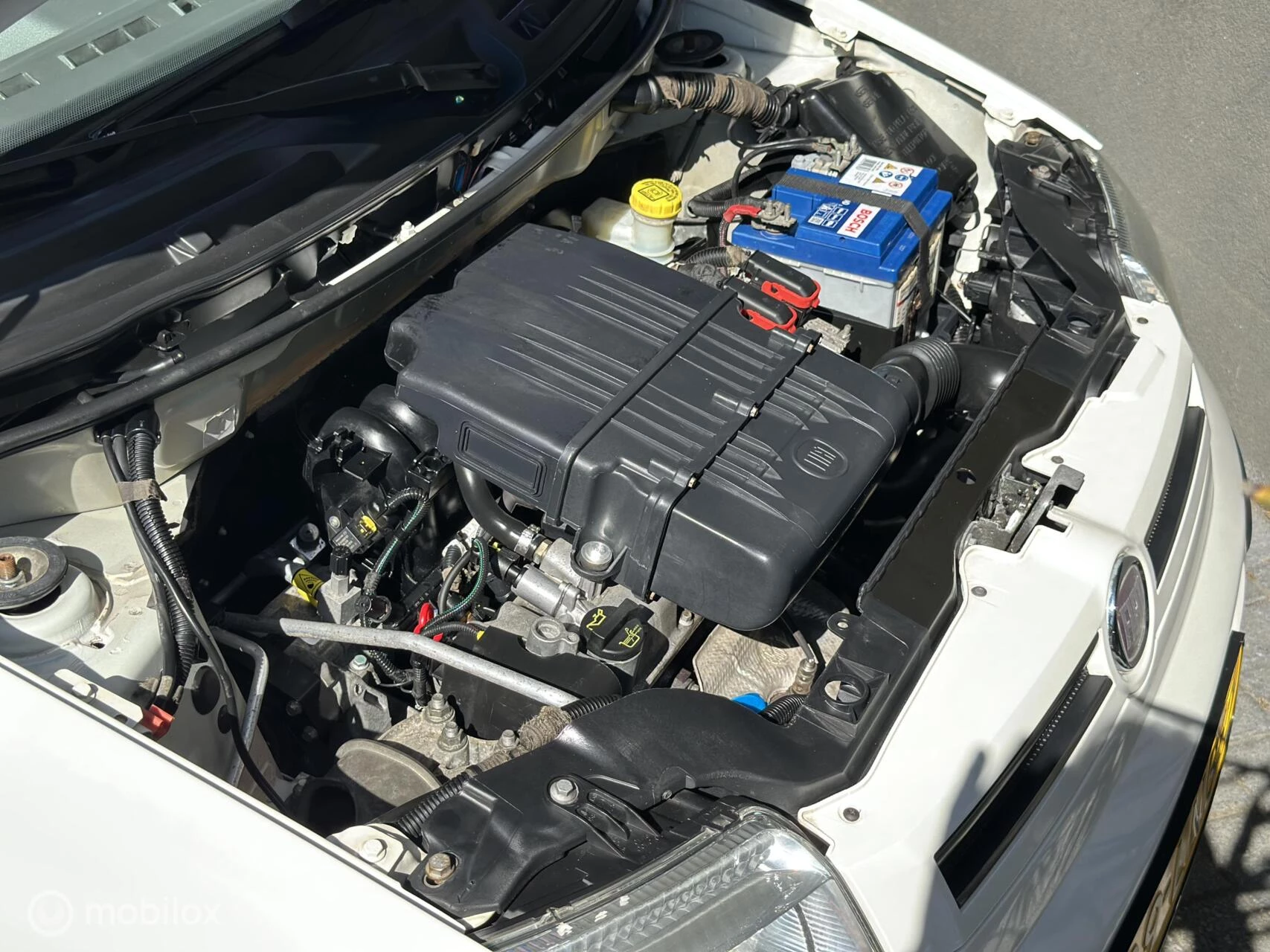 Hoofdafbeelding Fiat Panda