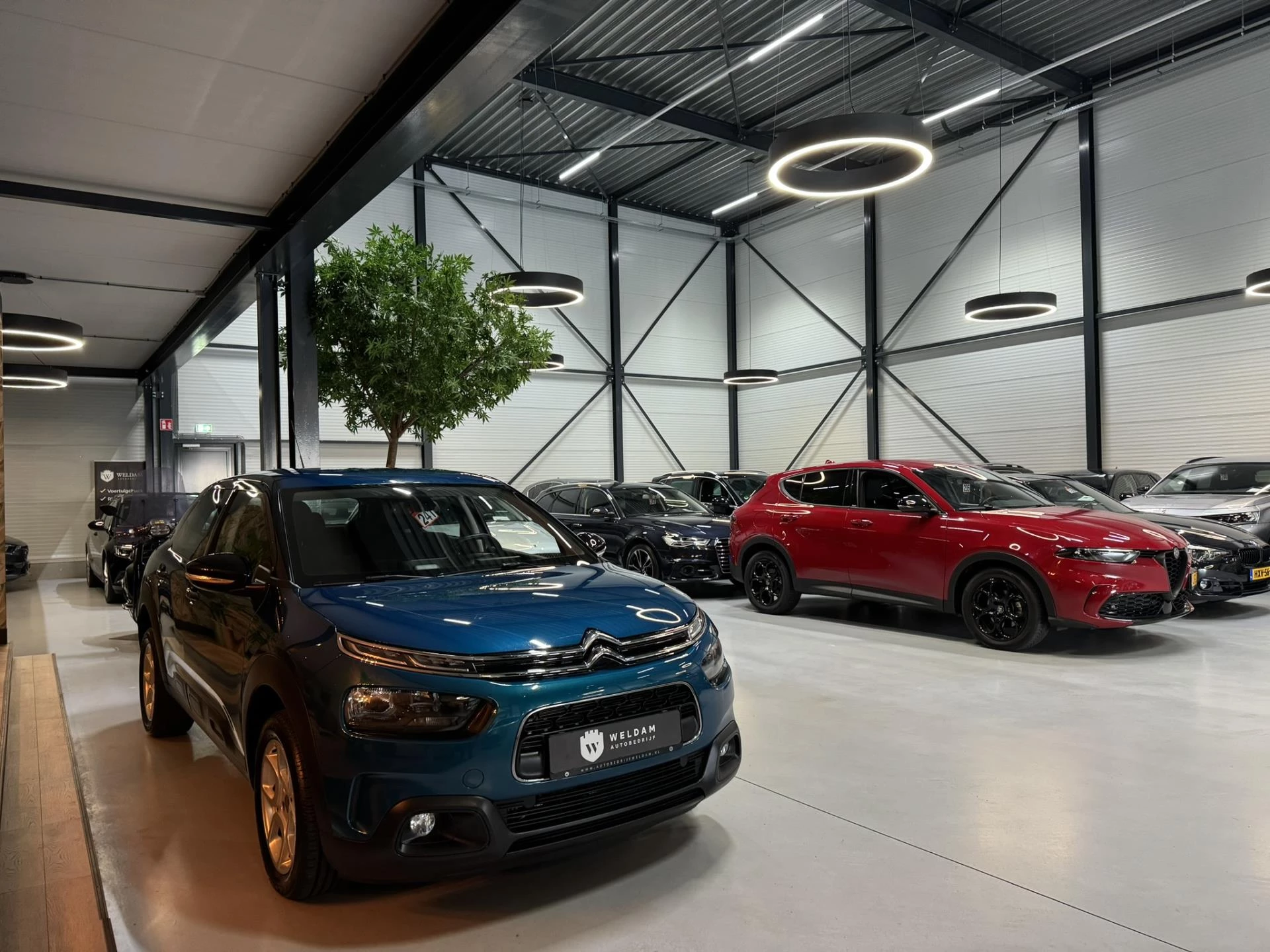 Hoofdafbeelding Citroën C4 Cactus