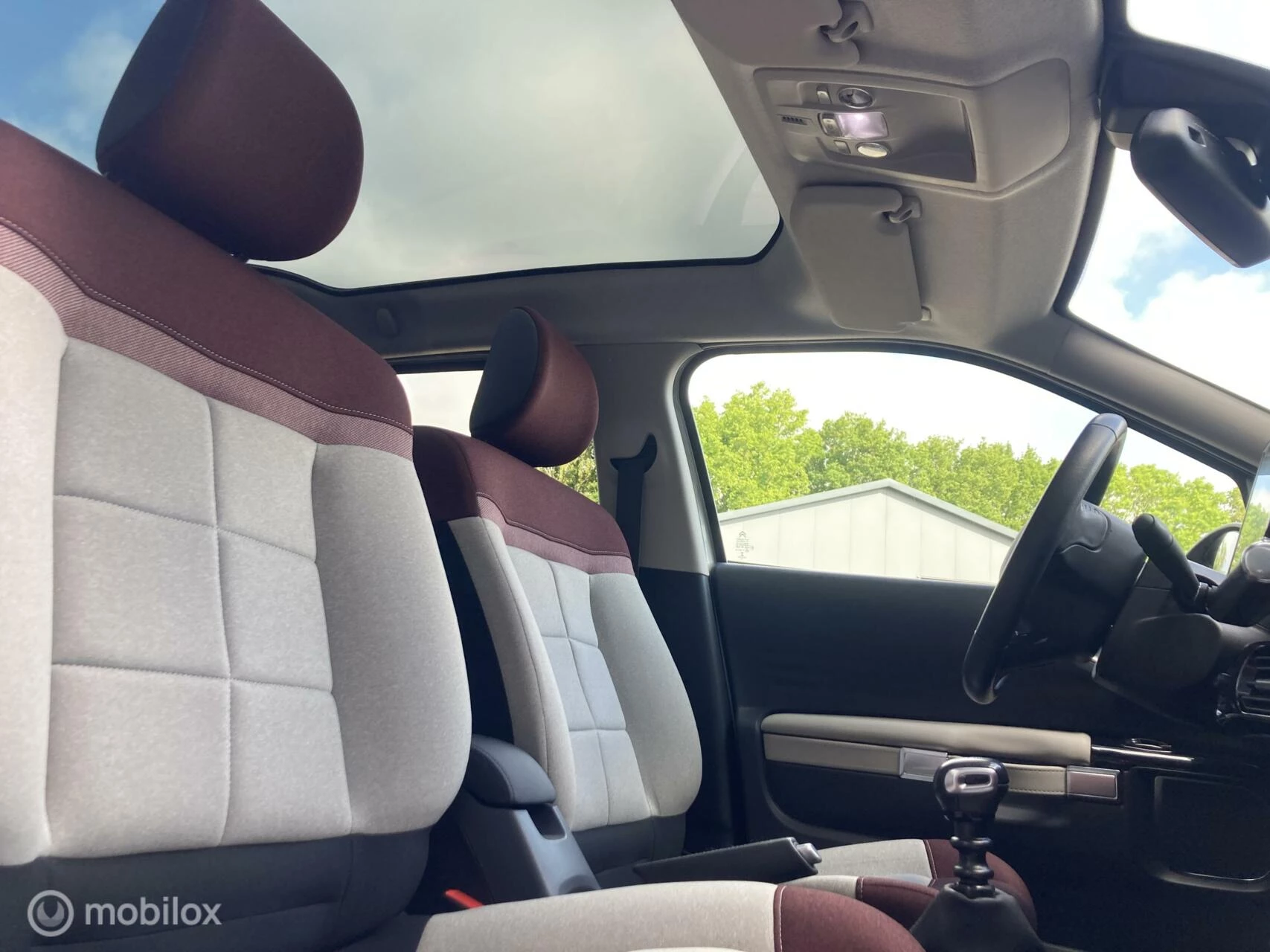 Hoofdafbeelding Citroën C4 Cactus