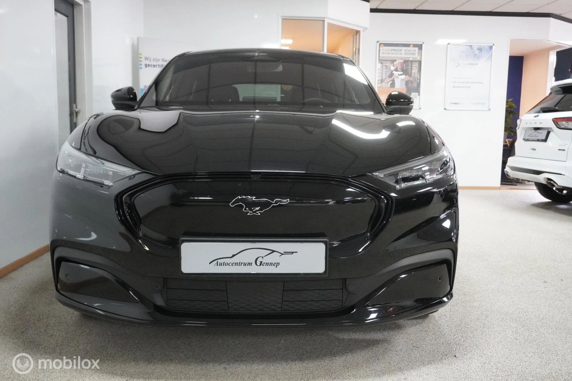 Hoofdafbeelding Ford Mustang Mach-E